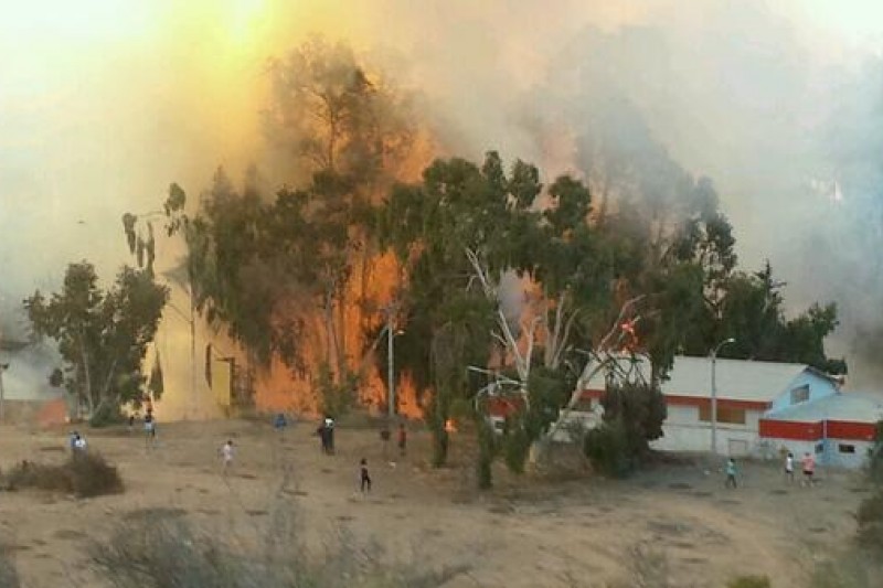 Incendio afectó a sector del Cendyr en La Serena