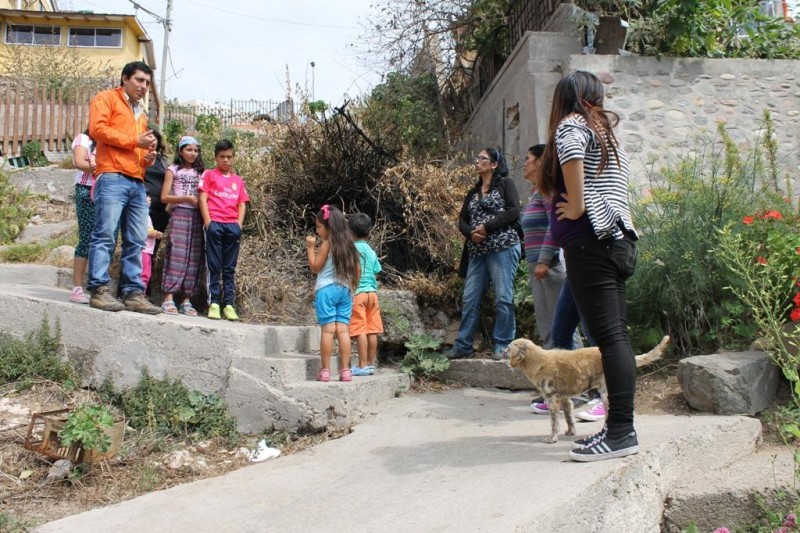 Coquimbo: Vecinos temen por actuar de pirómano en la Parte Alta