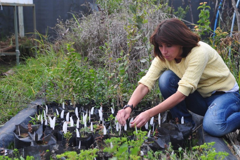 Doctora en biología dictará conferencia sobre plantas Xerófilas