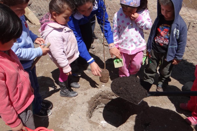 Conaf Coquimbo avanza en la forestación de toda la región