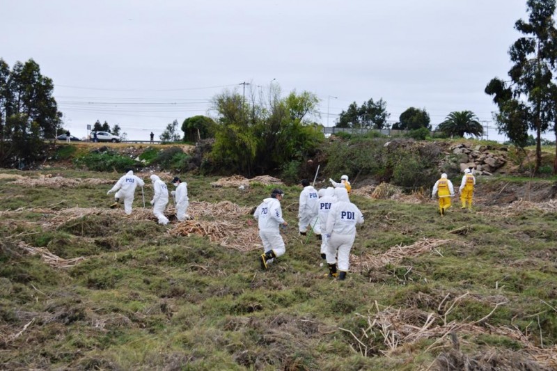 Coquimbo: Investigan hallazgo de restos humanos en el estero El Culebrón