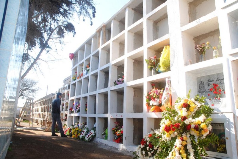 Coquimbo: Cementerio porteño solo posee 23 nichos disponibles y aún no inician su ampliación