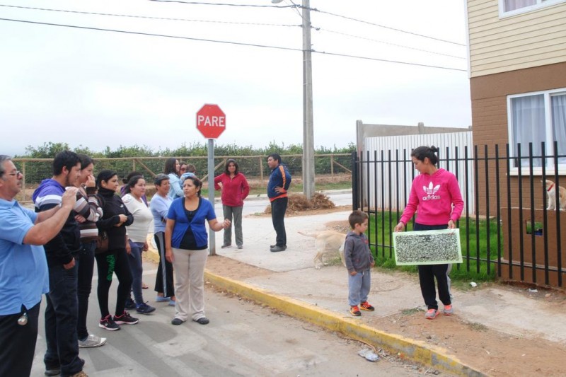 Coquimbo: Vecinos de San Ramón afectados por plaga de moscas culpan a avícola del sector