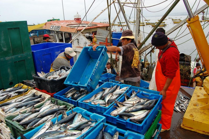 Coquimbo: Gremio artesanal apunta a cambiar ley de Pesca y exige compromisos del Gobierno