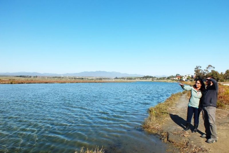 Coquimbo: Analizan el estado y protección de los humedales de Tongoy