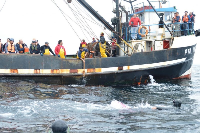 Coquimbo: Recuperan líneas de cultivos acuícolas para reimpulsar la actividad en Tongoy