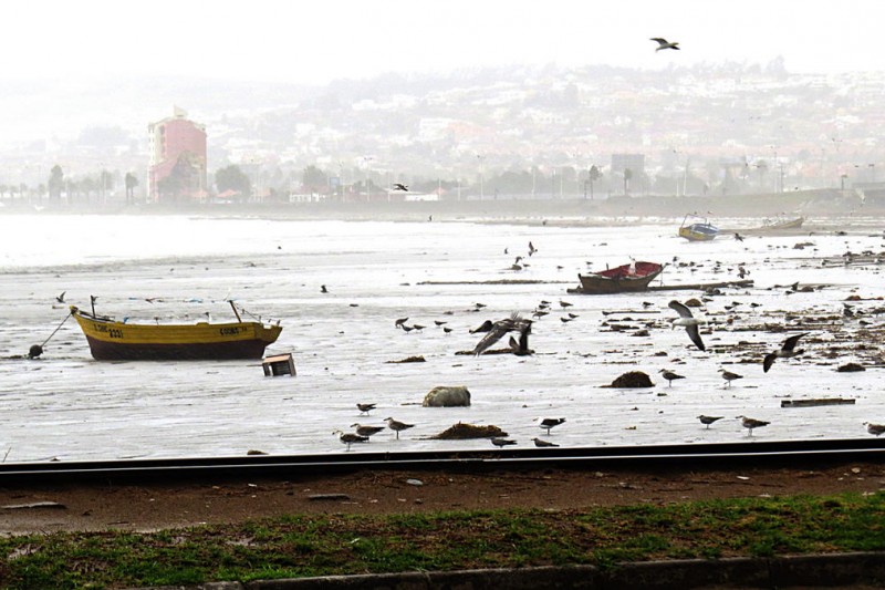 Coquimbo: Fuerte lluvia y vientos causan estragos en la comuna puerto