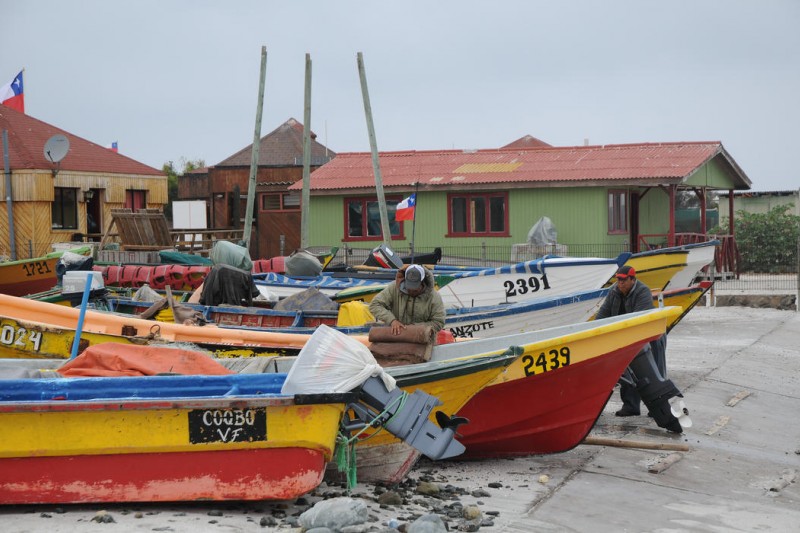 Punta de Choros devastada tras millonario robo y el municipio compromete su apoyo 