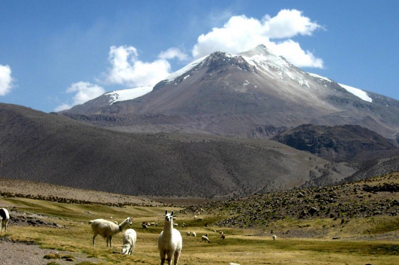 Seguidilla de sismos confirma la alerta amarilla en el volcán chileno Guallatiri