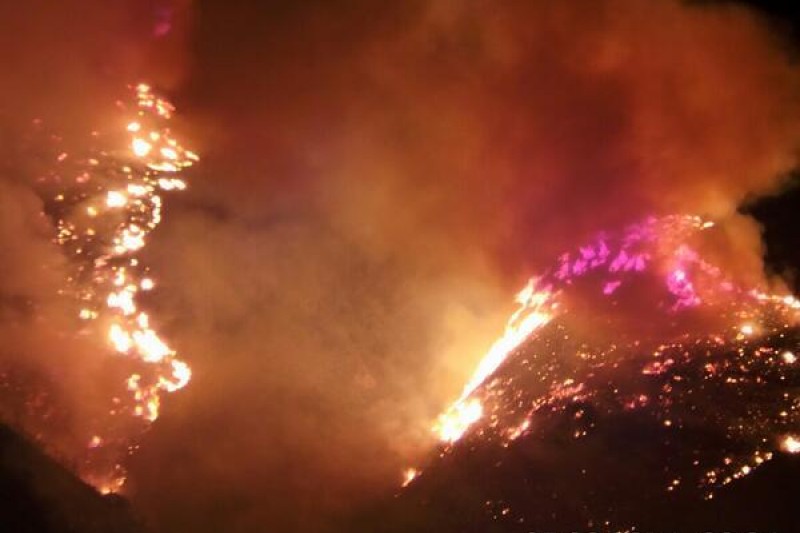 Incendio forestal se registró en la comuna de Los Vilos