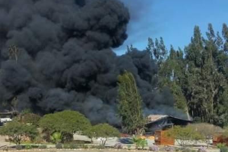 Incendio consume bodega en Las Curuninas 