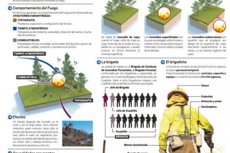Infografía: Las claves para entender un incendio forestal