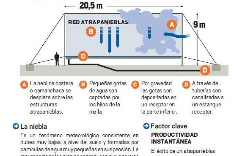 Atrapanieblas vuelven a ser una alternativa ante la dura sequía