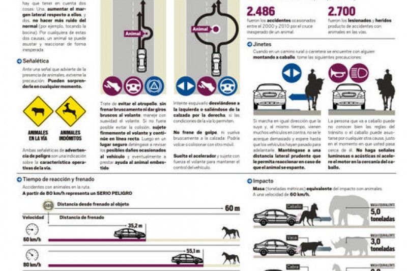 Infografía: Presencia y cruce de animales en las rutas