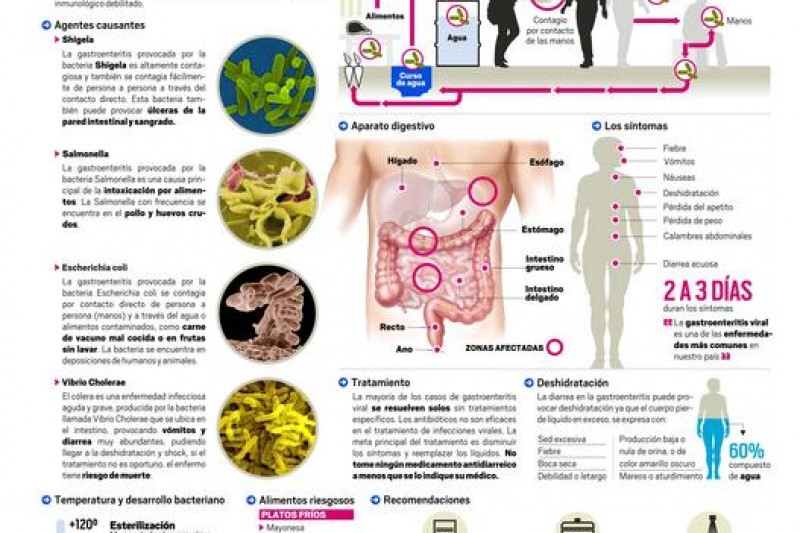 Infografía: Gastroenteritis: Los riesgos de consumir alimentos en mal estado