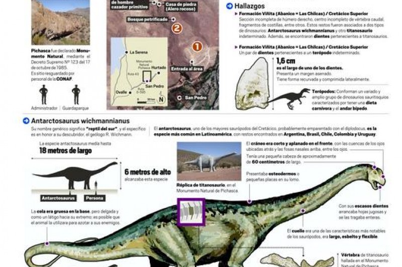 Infografía Monumento Natural Pichasca