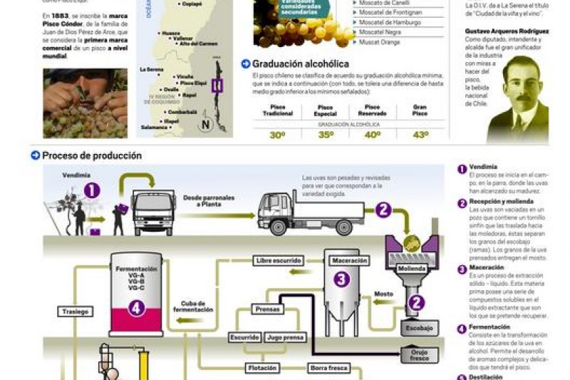 Infografía: Proceso de producción del Pisco