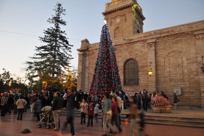 Encienden el árbol de Navidad que iluminará a La Serena