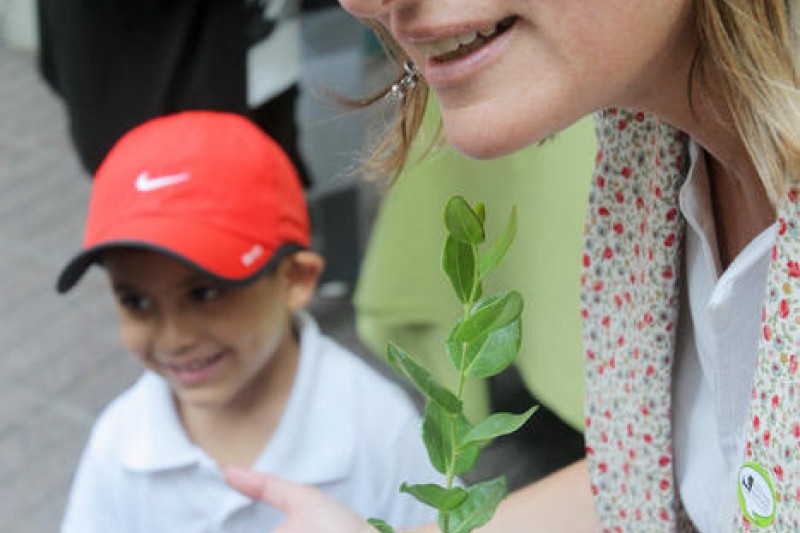 Ministra de Medio Ambiente conocerá realidad en Andacollo 