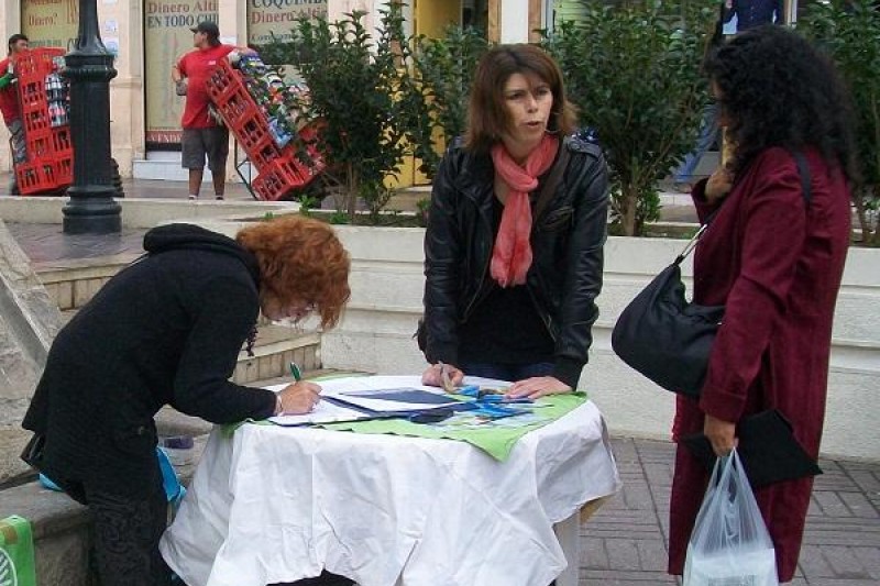 Partido Ecologista Verde ad portas de reunir firmas