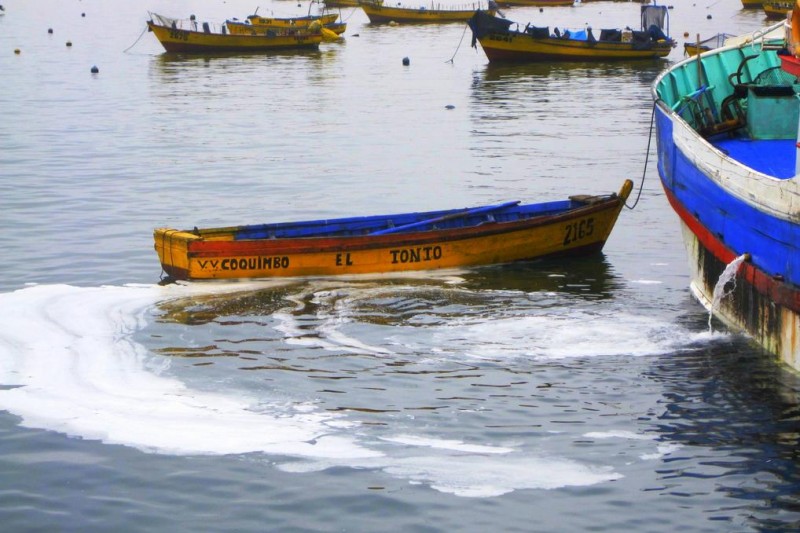 Preocupa la constante contaminación y daño causado a la bahía de Coquimbo