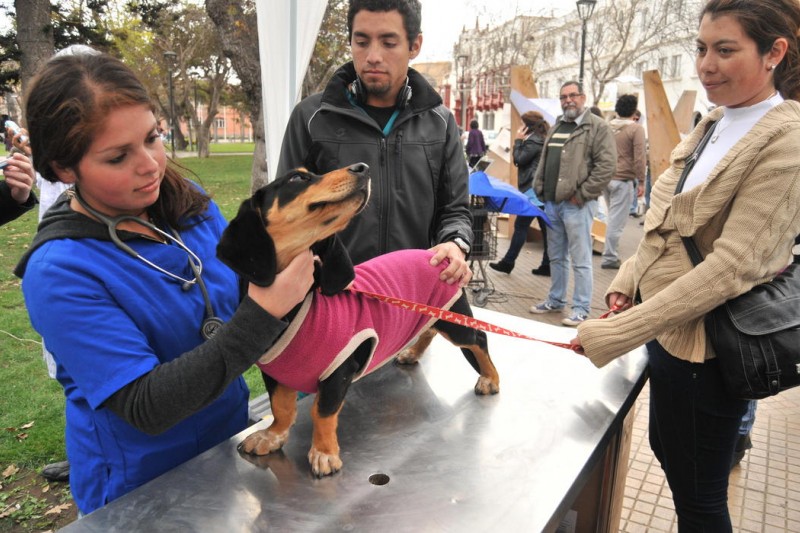 Pese a críticas, alumnos destacan enseñanza de U. del Mar