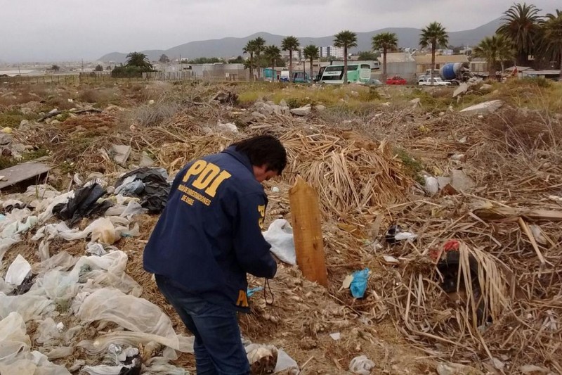 Se investiga hallazgo de osamentas humanas en Coquimbo