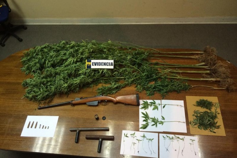 En la localidad de El Molle, Vicuña: PDI detuvo a microtraficante con drogas y armamento